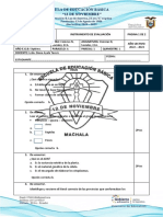 7mo Evaluacion Interdisciplinar Ciencias, Sociales, Eca 1p 1q.