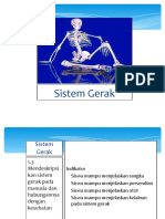 Sistem Gerak