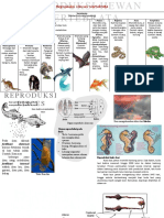 Reproduksi Hewan Vertebrata