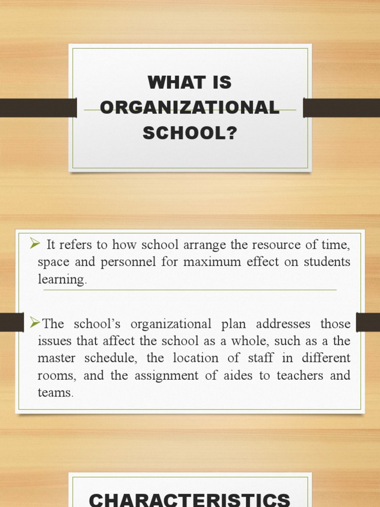 Understanding School Organization | PDF | System | Learning