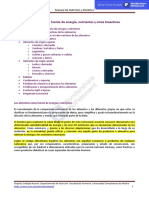 Alimentos fuente energía nutrientes