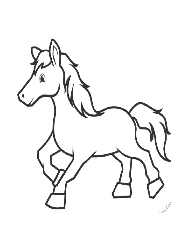 Animales para Colorear | PDF