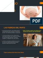 Las fuerzas del parto: contracciones y dilatación cervical