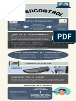 NPO LBG AA3 Infografía CIBERCONTROL