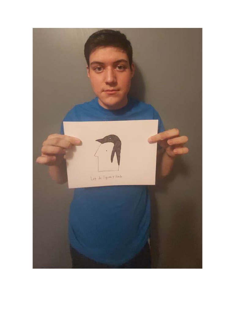 Hector Gastelum Fotos Act 1 Leyes de Gestalt PDF