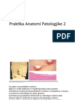 Praktika Anatomi Patologjike 2