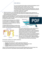 TEMA 3. Fisiopatología Renal