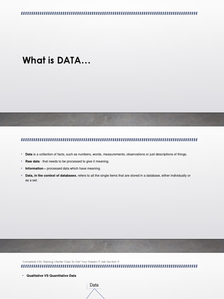 Understanding Data Types and Definitions | PDF