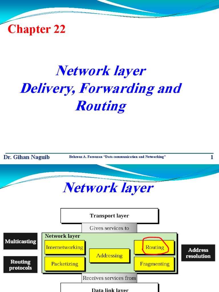 Network Layer Delivery Routing | PDF | Routing | Internet Protocols