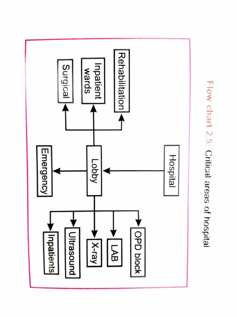 organizational-flow-chart-and-planning-considerations-for-key-areas-of