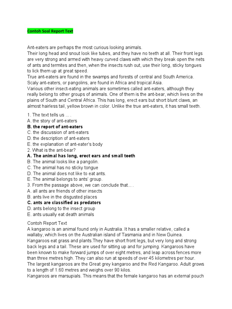 Contoh Soal Report Text Pdf Cakes Ant