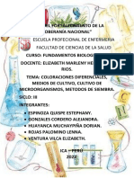 Exposición Fundamentos Biologicos