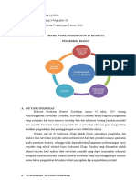 Tugas Framework Akuntabilitas Ervina PDF Free