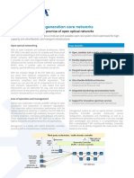 FSP 3000 For Next Generation Core Networks