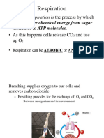 Teacher - Cellular-Respiration