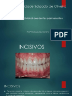 Anatomia dos dentes permanentes da região anterior