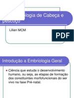 Histomorfologia de Cabeça e Pescoço Embriologia LMCM