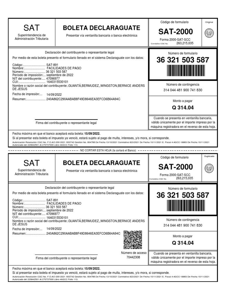 Pago Impuesto Sat | PDF | Economias | Pagos