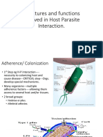 Host Parasite Interaction