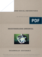 Insostenibilidad Ambiental