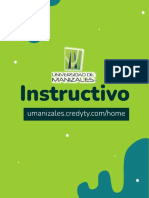 Instructivo MANIZALES