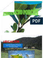 Expo Granja Porcon