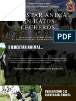 Bienestar Animal en Hatos Lecheros