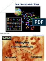 3 - Mutações Cromossómicas