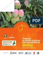 Protocolo Poscosecha Mango