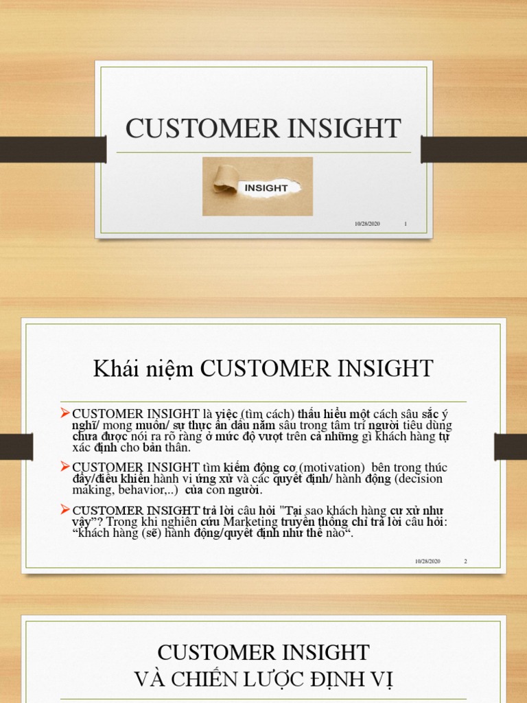 E-Marketing - Customer Insight | PDF