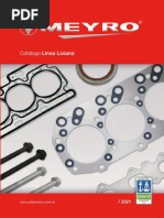 Fipe Jun24 | PDF | Audi | Automotive Technologies