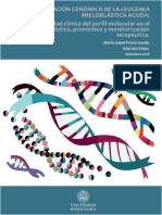 DME PrietoCondeMI Leucemiamieolablástica