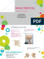 Columna Cervical: Alta Y Baja