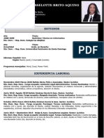 CURRICULUM%20KARINA%20BRITO%20PDF