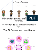 Five Sense y Nervous System