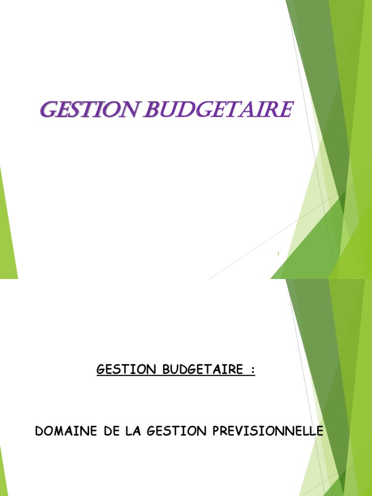 Gestion Budgétaire | PDF | Budget | Profit (Économie)
