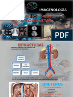 Radiologia Renal y Vias Urinarias