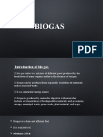 Biogas 5 Yr