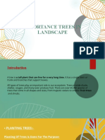 Importance Trees in Landscape