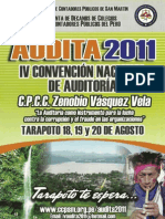 Audit A 2011