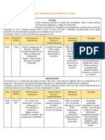 Resumo - Aspectos Fisiologia Reprodutiva Da Cadela