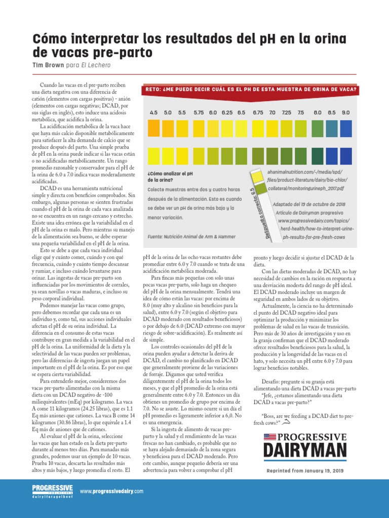 0219pd How To Interpret Urine PH Results For Pre Fresh Cows | PDF | Dieta