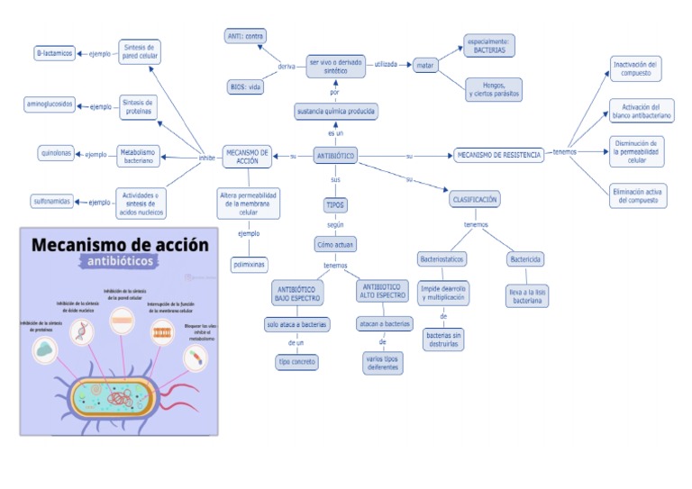Mapa Mental 1 | PDF