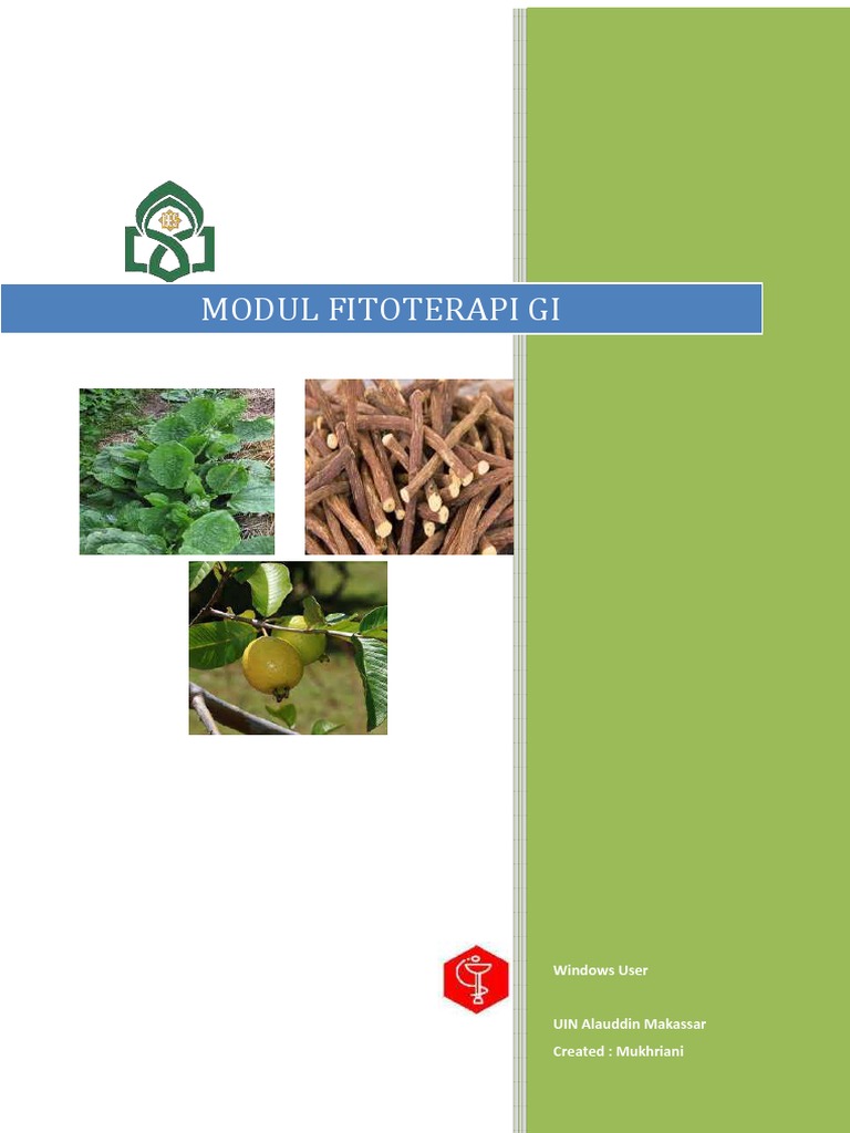 Fitoterapi untuk Gangguan Gastrointestinal | PDF