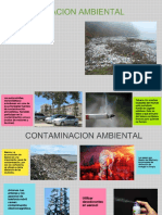 Contaminacion Ambiental-1