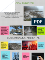 Contaminacion Ambiental-2