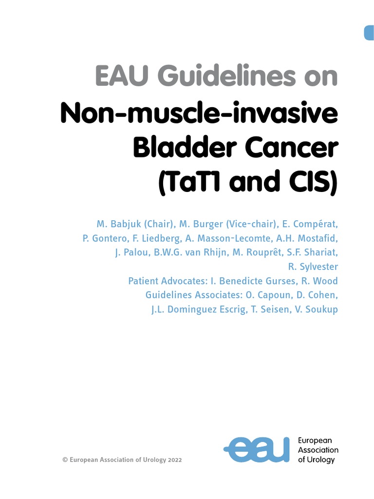 EAUGuidelinesonNonMuscleInvasiveBladderCancer2022 PDF