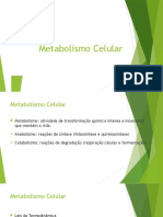 Metabolismo Celular