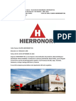 Informe Visita Hierronort SRL Corregido