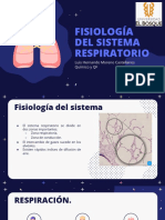 Sistema Respiratorio